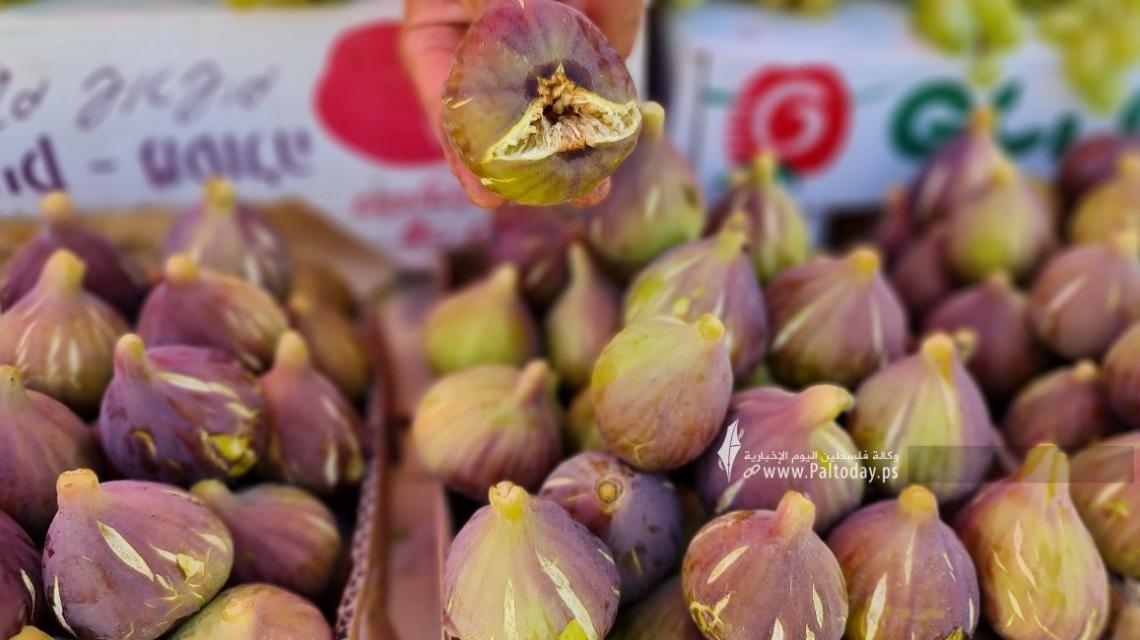بالصور: الفواكه الصيفية الموسمية تغزو البسطات والأسواق الشعبية في قطاع غزة