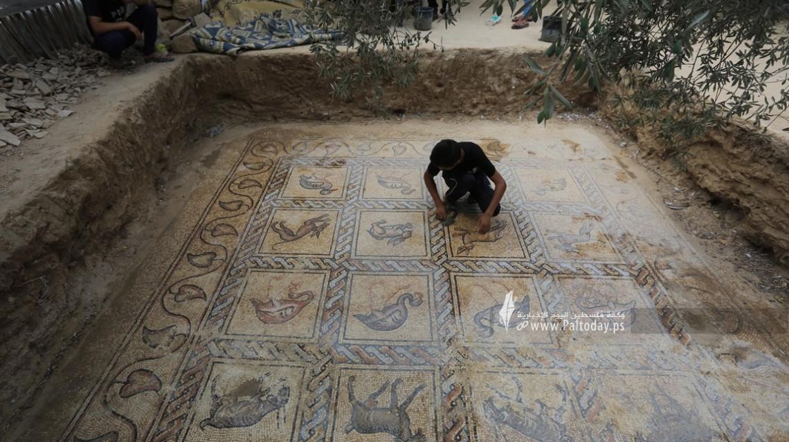 بالصور: مزارع فلسطيني من غزة يكتشف لوحة فسيفسائية نادرة في أرضه