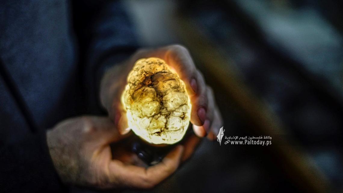 بالصور: فلسطيني يجمع "ثروة" من الحجارة النادرة داخل منزله فى مدينة خانيونس