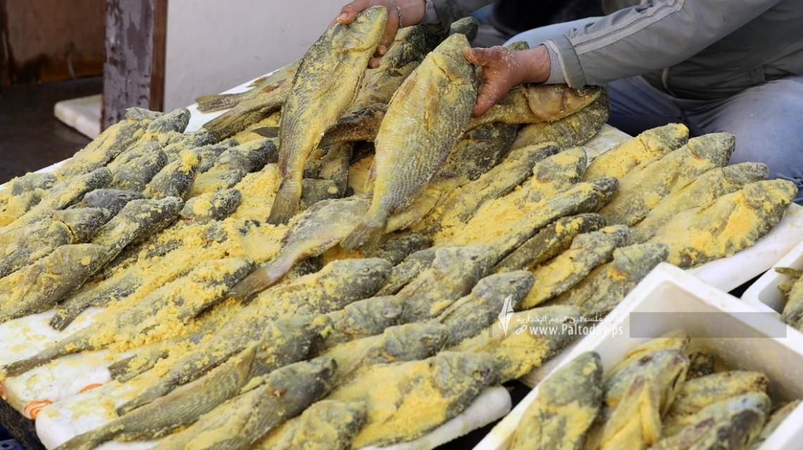 بالصور - غزة : الفسيخ .. زينة موائد الغزيين في عيد الفطر