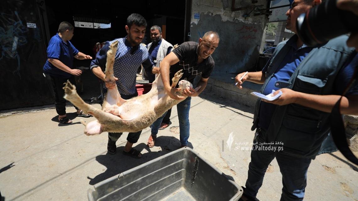 بالصور : استعدادات المواطنين بمدينة غزة  لاستقبال عيد الأضحى المبارك