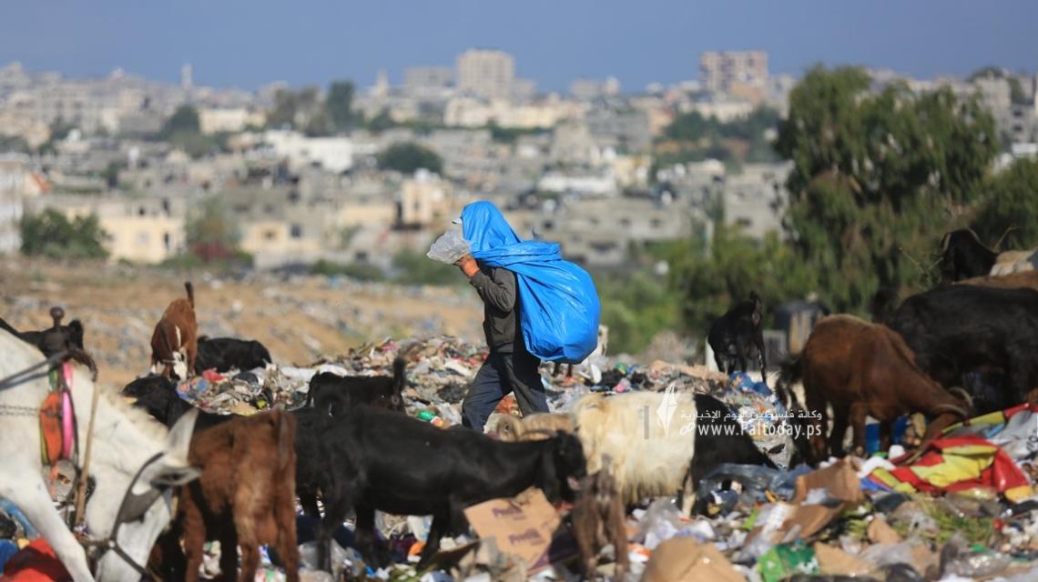 بالصور : النبش في القمامة.. مهنة جديدة لفقراء غزة