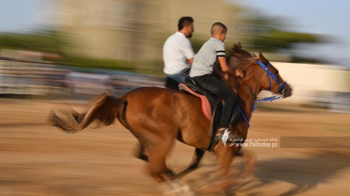 بالصور : "صابية الخيل والهجن".. عادة متوارثة على شفا الاندثار في أفراح قطاع غزة