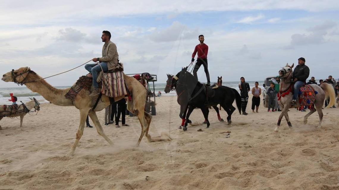 عرض للخيول على شاطئ بحر غزة