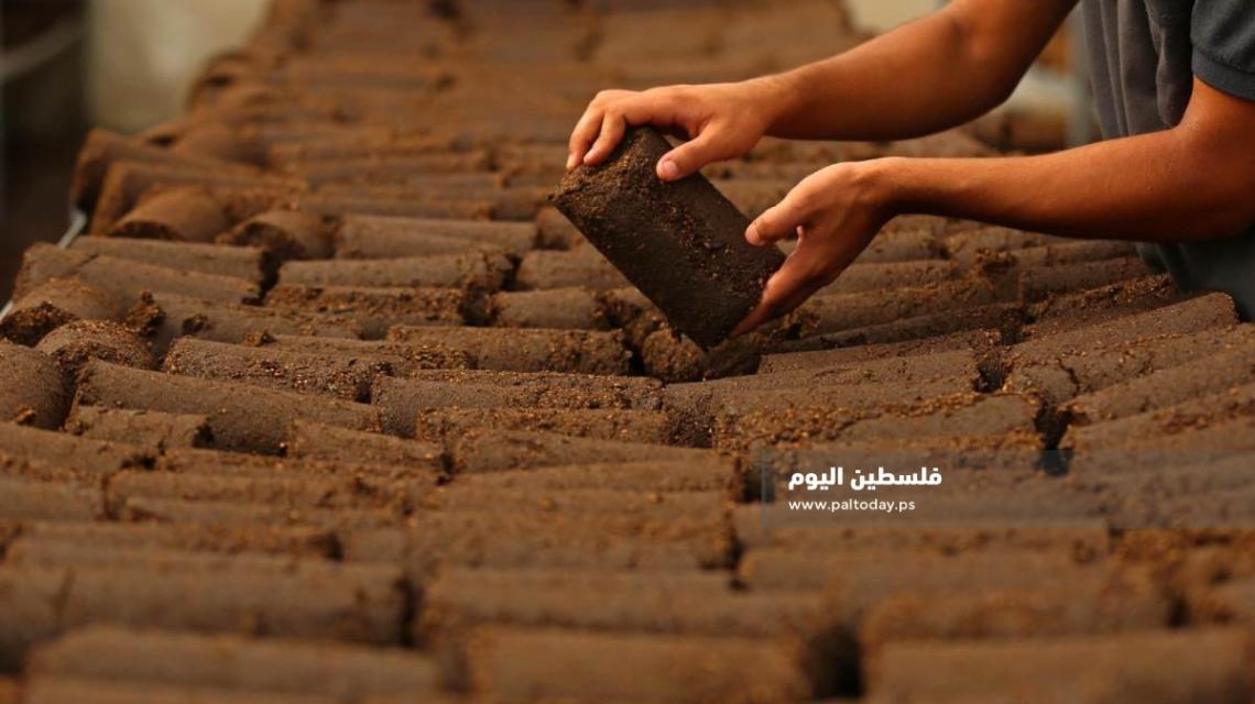 مهندسون فلسطينيون يصنعون جهازًا مخصصًا لتحويل عصارة الزيتون "الجفت" لقوالب تستخدم بديلًا عن غاز طهي
