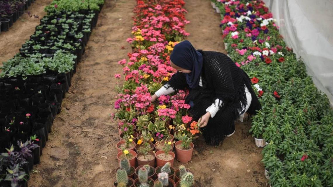 فتاة غزية تفتح مشتلاً للورود في خانيونس جنوب قطاع غزة