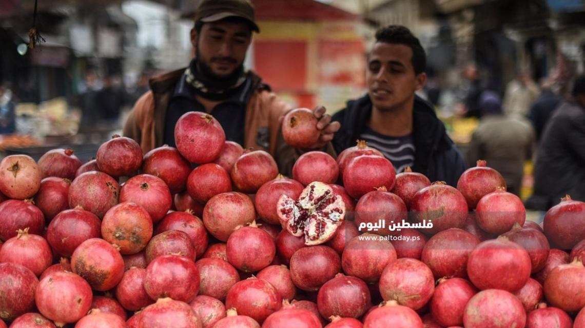 من شوارع الوطن .. بائع " الرمان " فى أسواق غزة
