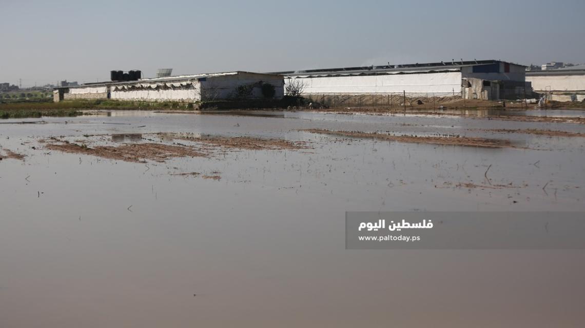 أضرار تلحق بأراضي المزارعين شرق حي الشجاعية جراء فتح الاحتلال سدود مياه الأمطار