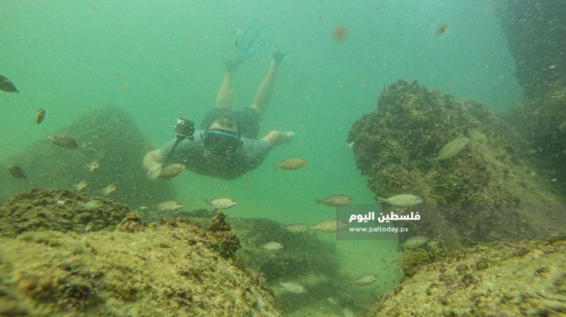 "فلسطين اليوم" ترافق المصور محمد اسعد في رحلته داخل أعماق البحر على شاطئ غزة