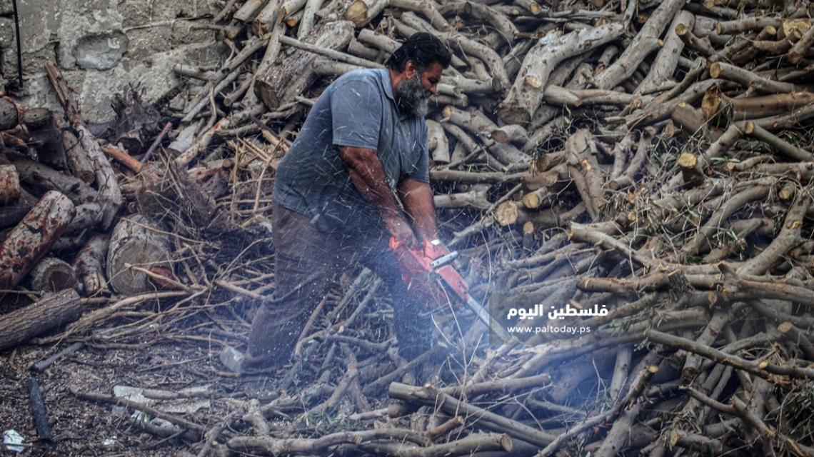 بيع الحطب.. مهنة موسمية ونادرة في غزة