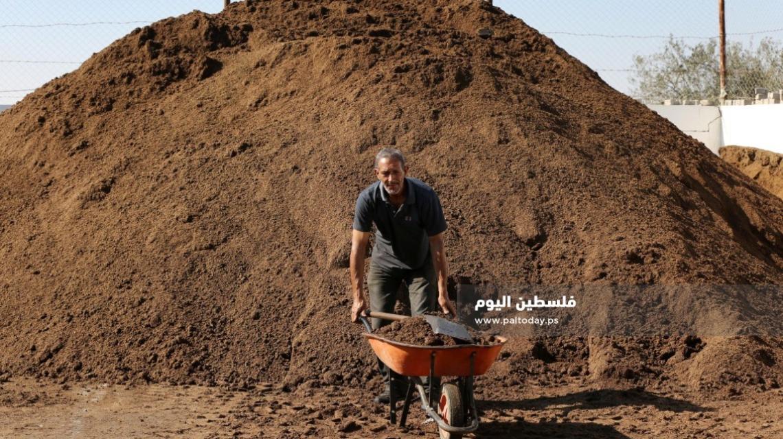 "جفت الزيتون".. مصدر رزق ووقود للتدفئة وأفران الطابون