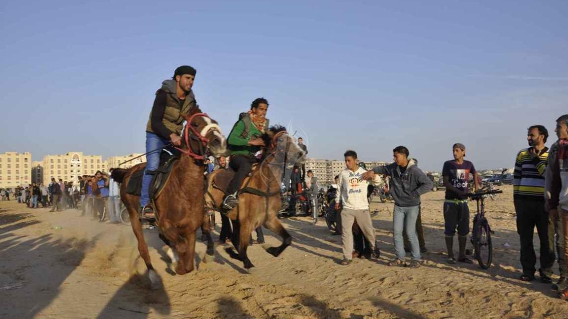 مجموعات شبابية تمارس رياضة ركوب الخيل غرب خانيونس