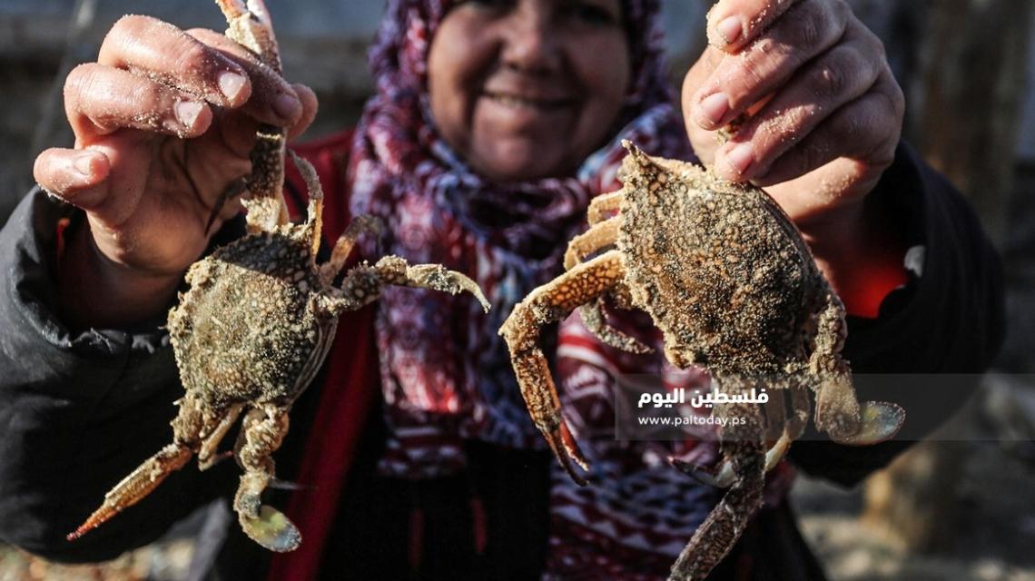 غزة: امرأة فلسطينية تجاهد معاناة الحياة ببيع الأسماك في الأسواق