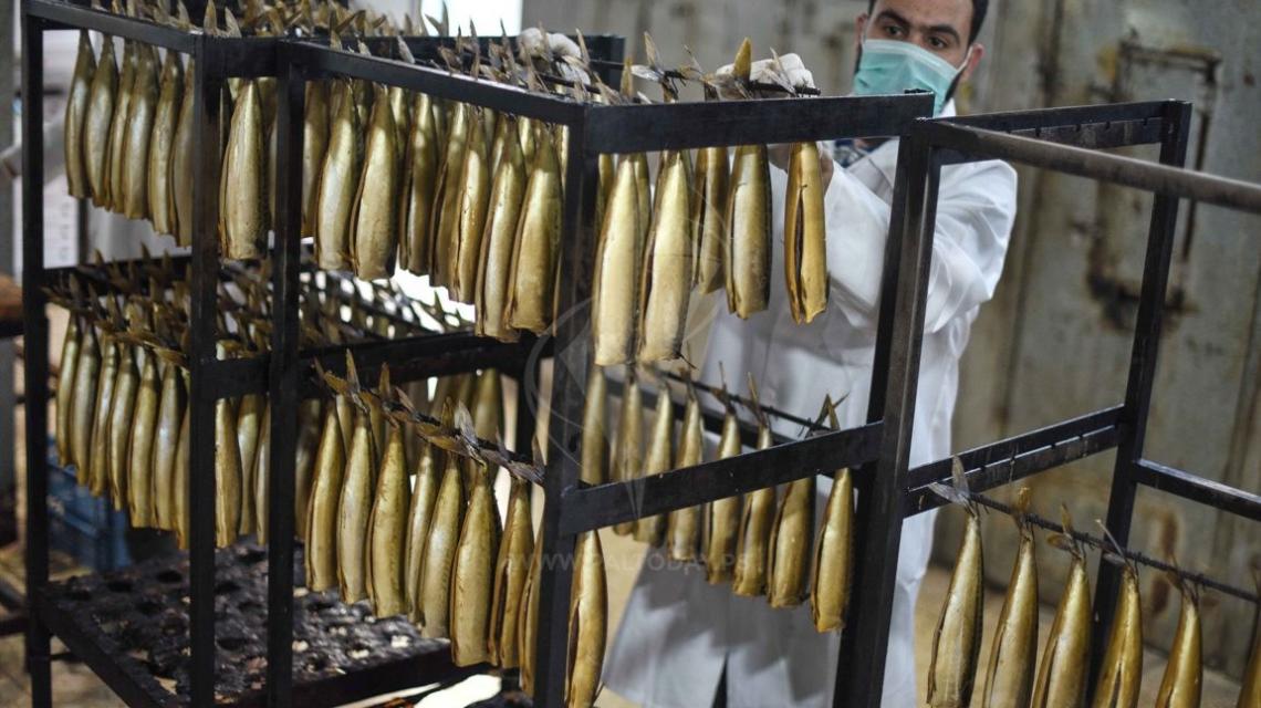 شاهد .. تحضير سمك "الرنجة" المدخن في قطاع غزة