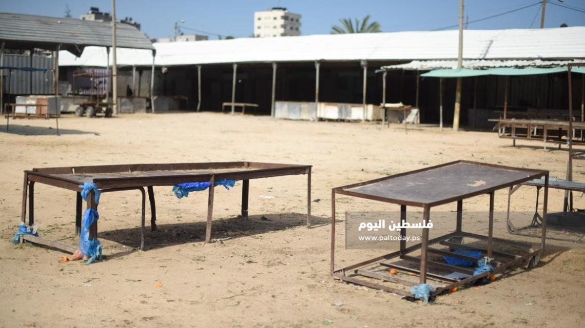 شاهد .. كابوس "كورونا" يشل الحياة فى قطاع غزة 