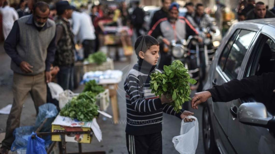 أطفال غزة يستغلون شهر رمضان لبيع الجرجير ومساعدة أسرهم