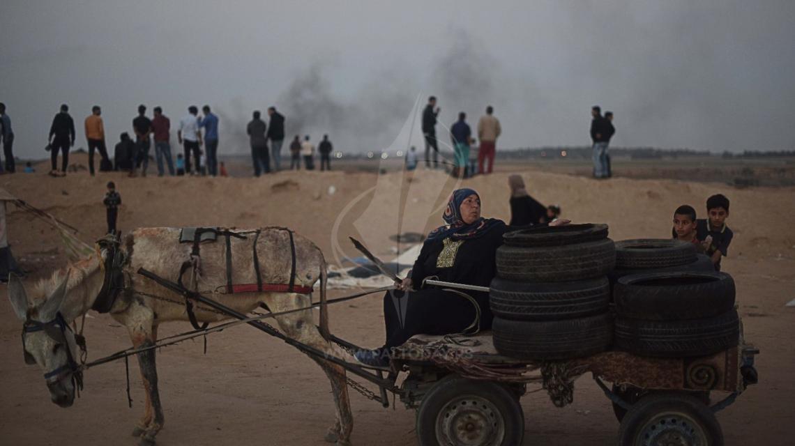 السيدة فلسطينية جهاد أبو محسن من غزة تقوم بجمع إطارات السيارات استعداداً ليوم الزحف غداً نحو الأراضي الفلسطينية
