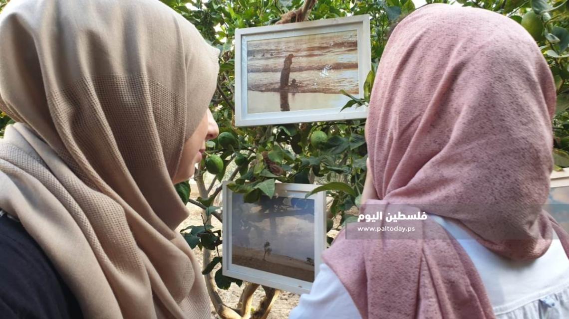 فن من نوع آخر... شابة من غزة تعلق معرضها الفني على أشجار منزلها