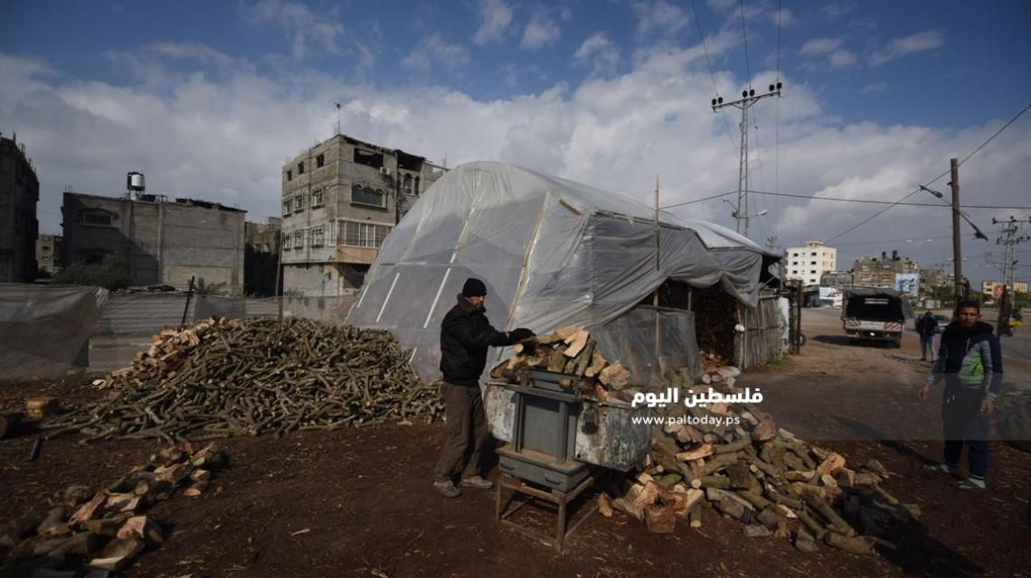 " بيع الحطب " مهنة موسمية نادرة فى غزة