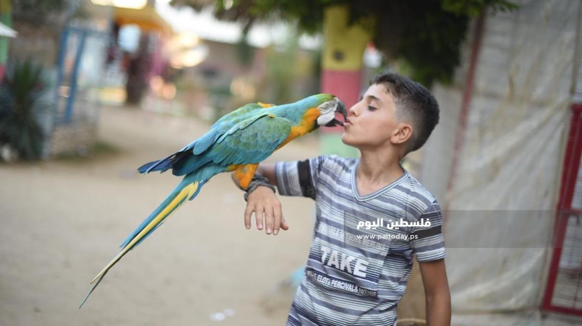 جولة داخل حديقة الحيوان الوحيدة فى رفح 
