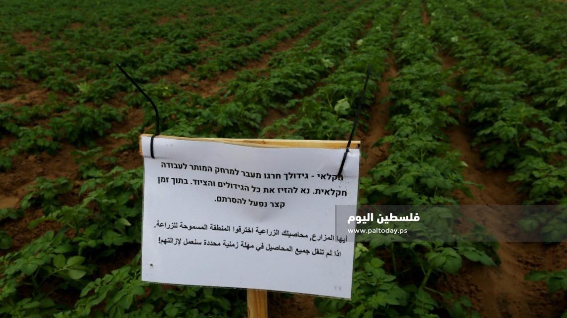 للمرة الأولى جيش الاحتلال يهدد بإزالة محاصيل على حدود شرق خانيونس