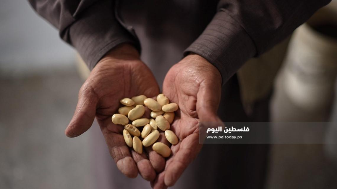 مزارع غزي ينشئ بنكا للبذور البلدية لاستدامة الزراعة 