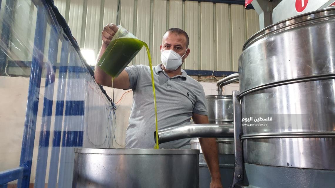 جولة في معاصر الزيتون بقطاع غزة