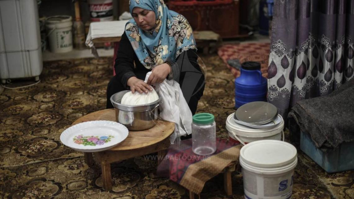 صناعة الجبنة البلدية وبيعها في الأسواق مصدر دخل لعائلات غزية
