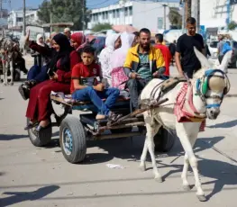عربة يجرها حمار في غزة