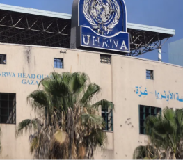 الاونروا.PNG