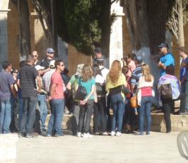 صور مجندات ومخابرات ومستوطنين وسياح يقتحمون المسجد الأقصى