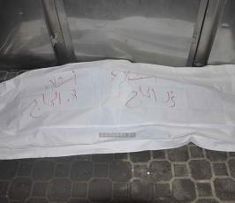 شهداء عدوان 2014