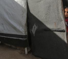 حياة الأطفال داخل قرية جحر الديك غزة ‫(37880326)‬ ‫‬