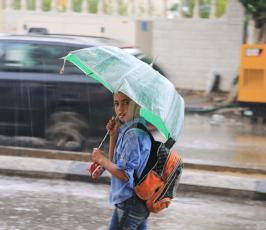 امطار ‫(30531979)‬ ‫‬