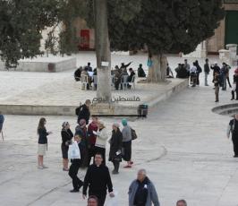 مستوطنون يقتحمون المسجد الأقصى المبارك وسط حراسة شرطية مشددة