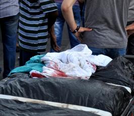 شهداء 2014