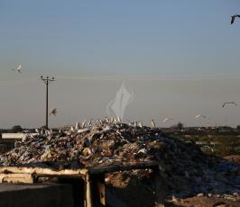 فلسطيني يجمع البلاستيك ومواد قابلة للاستخدام  من مكب للنفايات ‫(1)‬ ‫‬