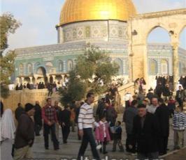 عدسة « فلسطين اليوم » تتجول في باحات المسجد الأقصى خلال ثاني أيام عيد الأضحى المبارك 