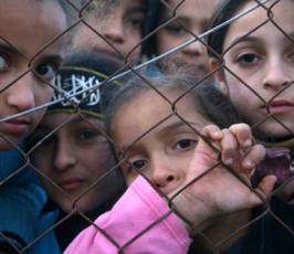 الدفعة الثالثة من الصور التي التقطتها عدسة « فلسطين اليوم » لمهرجان الجهاد 