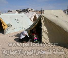 عدسة « فلسطين اليوم » ترصد نكبة 2009 م بحق أهالي غزة