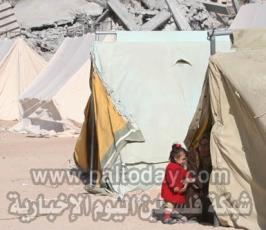 عدسة « فلسطين اليوم » ترصد نكبة 2009 م بحق أهالي غزة