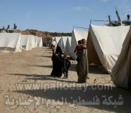 عدسة « فلسطين اليوم » ترصد نكبة 2009 م بحق أهالي غزة