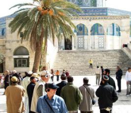 بالصور : مجموعة من اليهود المتطرفين خلال اقتحامهم لباحات الاقصى المبارك بحراسة الشرطة الاسرائيلية