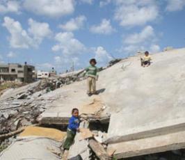 عدسة فلسطين اليوم تتجول بين المنازل المدمرة شمال القطاع
