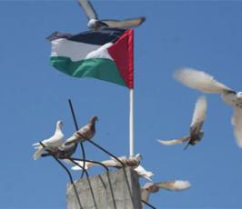 عدسة فلسطين اليوم تتجول بين المنازل المدمرة شمال القطاع