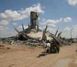 عدسة فلسطين اليوم تتجول بين المنازل المدمرة شمال القطاع