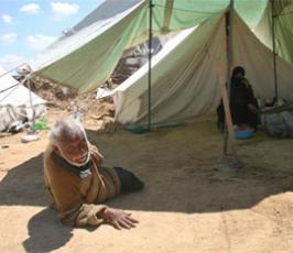 عدسة فلسطين اليوم تتجول بين المنازل المدمرة شمال القطاع