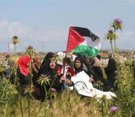 صور احياء ذكرى يوم الأرض شمال أراضينا الفلسطينية