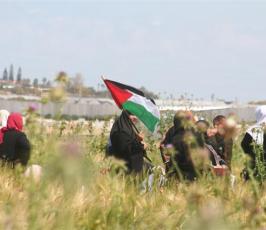 صور احياء ذكرى يوم الأرض شمال أراضينا الفلسطينية