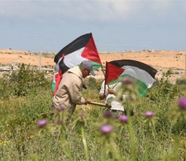 صور احياء ذكرى يوم الأرض شمال أراضينا الفلسطينية